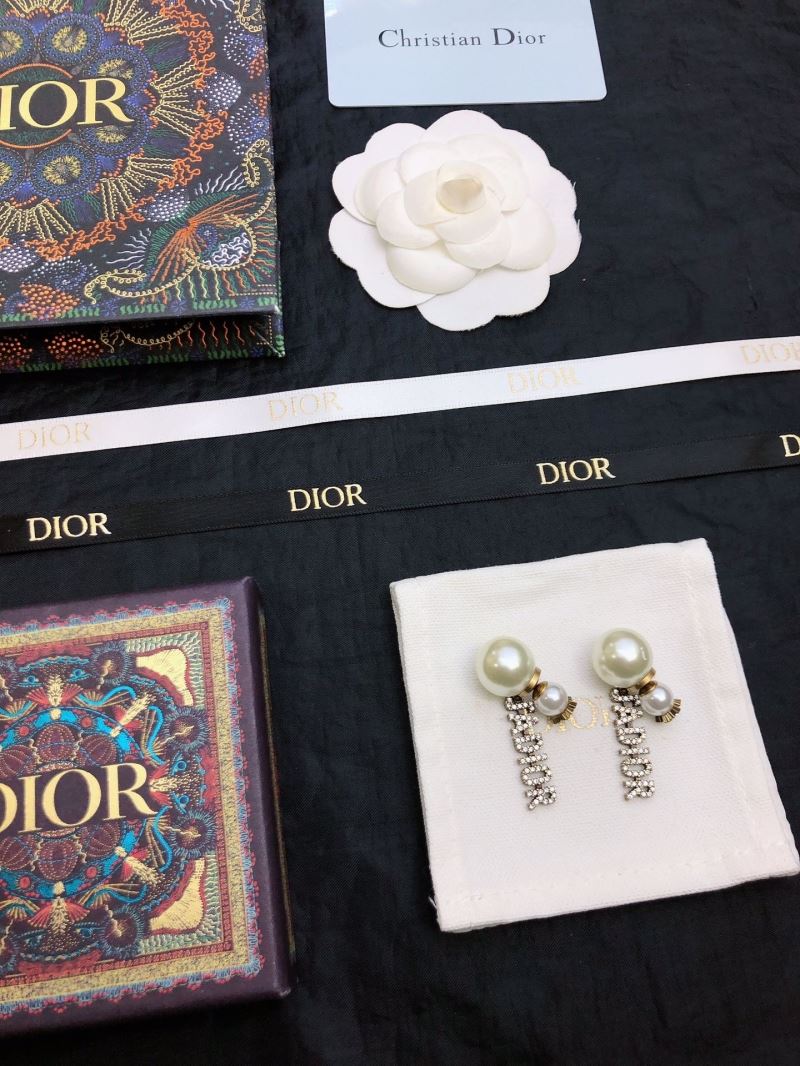 Christian Dior Earrings